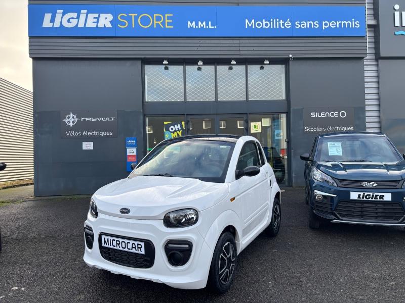 MICROCAR Initial Progress